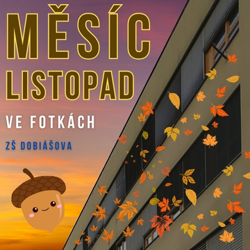 Ohlédnutí za měsícem listopad 24